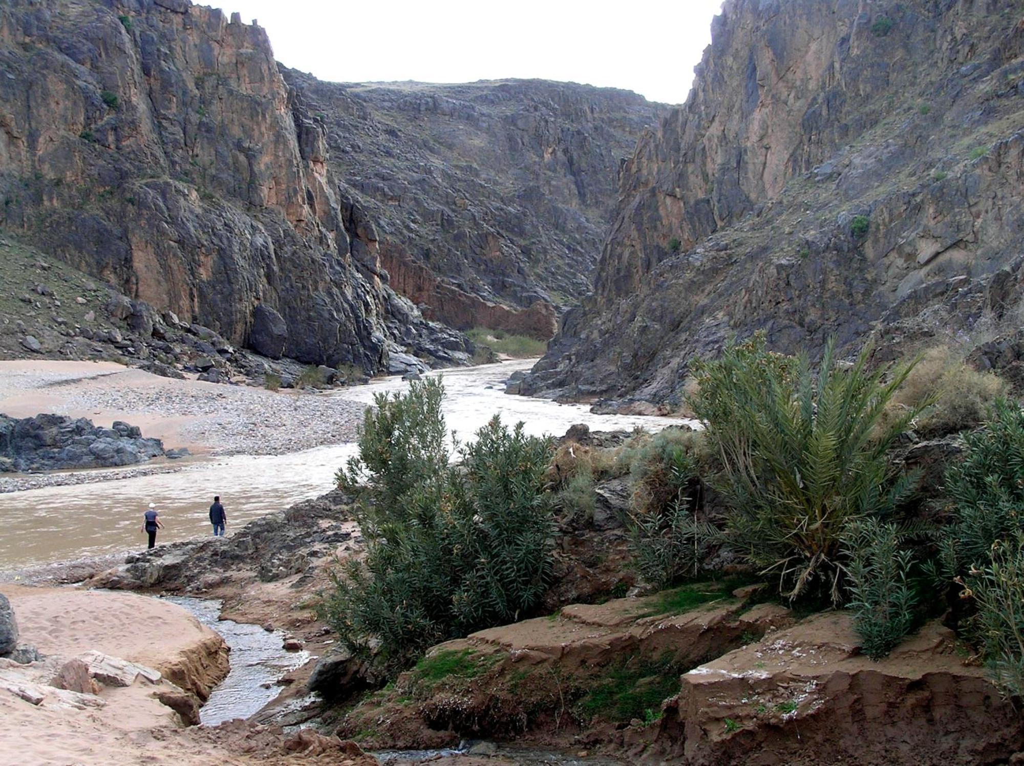 Хостел Kasbah Dar Bahnini Скура Экстерьер фото